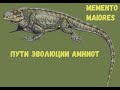 Пути эволюции амниот. Амниоты. Помни о предках