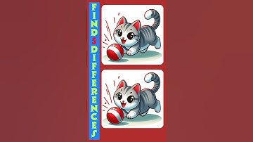 Top 5 DIFFERENCES You Can