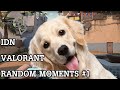 IDN Valorant Random Moments #1