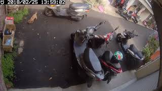 20180225-4 台中市 南區 放狗主人不在旁邊不牽繩隨地大小便 復興路二段193巷