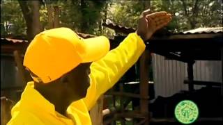 Shamba Shape Up clips   Cows House dairy