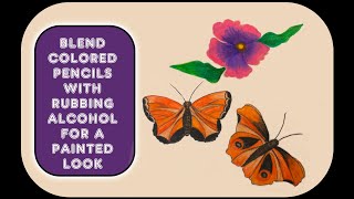 Rubbing Alcohol Color Pencil Blending / Blend Color Pencil with Alcohol