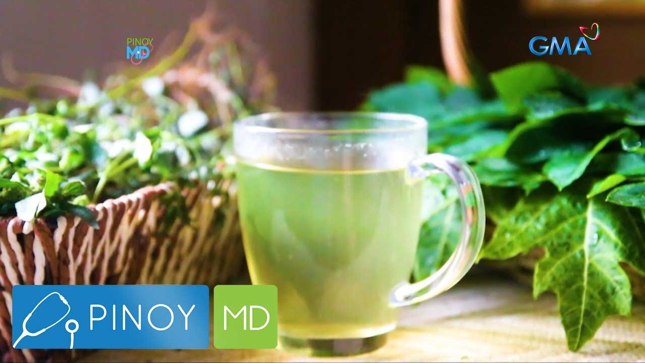 Dahon ng papaya at tawa-tawa, mabisang panggamot daw sa dengue?! | Pinoy MD