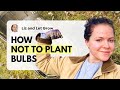Deck Clean-Up Gone Wrong? Planting Bulbs the Right Way!