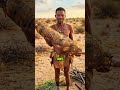 San Bushman Cooking Giant Desert Root 🌿 #triballife #tribalfood #shorts