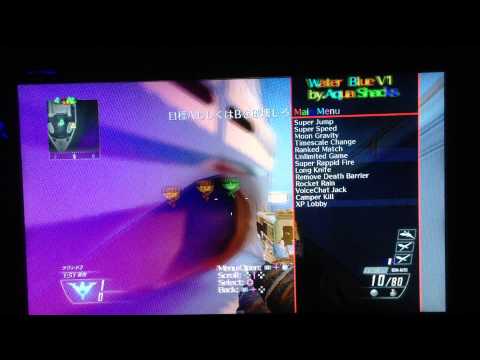 BO2 チーターのサーチプレイ