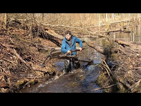 Vídeo: Quant de temps triga un castor a mastegar un arbre?