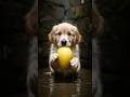 ⭐️The Ultimate Friendship🐾|The Wise Hanuman Rescues a Baby Dog from a Deep Well#dog #animals