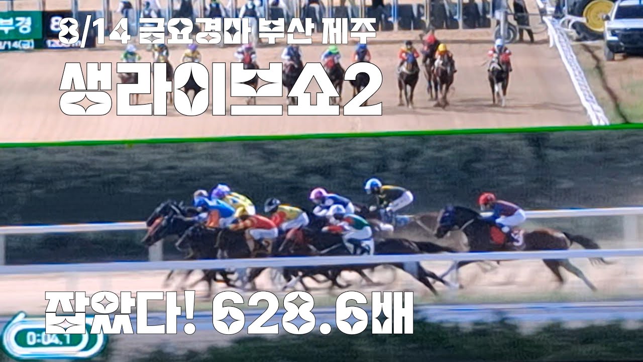 금요경마 터지면 무조건 잡아버린다!(부산 제주생라이브쇼2)