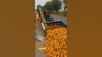 Fully automatic corn threshing machine "Corn threshing machine manufacturer" #agriculture #farming