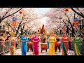 Vietnam S Ao Dai Elegance In America Monolithic Giant Fruits Golden Apricot Blooms