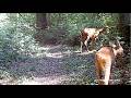 Plutôt fiston que fille et tous les autres animaux du jour