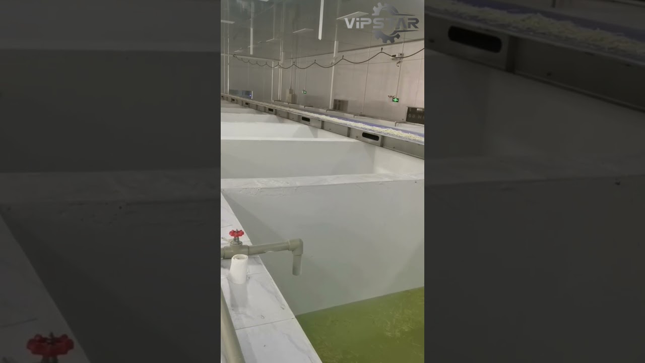 vegetable washing machine  