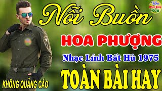 Nỗi Buồn Hoa Phượng, Ru Nửa Vầng Trăng ✨908 Bài Nhạc Vàng Xưa KHÔNG CÓ QUẢNG CÁO Dễ Ngủ Ngọt Lịm Tim