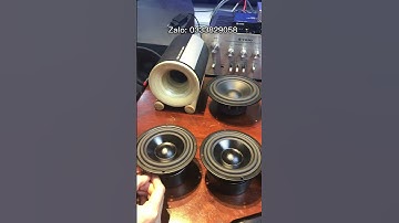 SERI Loa Trung Tập 1: Test Âm Thanh Em Trung 10 Bọc Khử Từ Dành Cho Anh Em Độ Chế