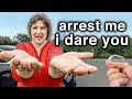 Police Shut Down Entitled Karen After She Pushes Too Far