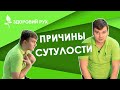 Причины сутулости у взрослых. Что такое кифоз и лордоз | КИНЕЗИТЕРАПИЯ