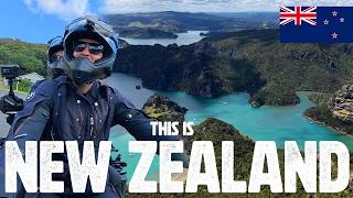 Dit is waarom we naar Nieuw-Zeeland zijn gekomen!