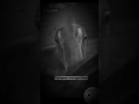 hewan yang dicurigai