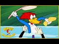 Woody Woodpecker Show | Golddiggers | 1 Hour Woody Woodpecker Compilation | Videos For Kids