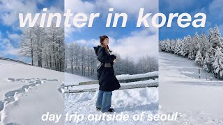 life in korea vlog 🐑 a snow day on a sheep farm outside of seoul and developing film
