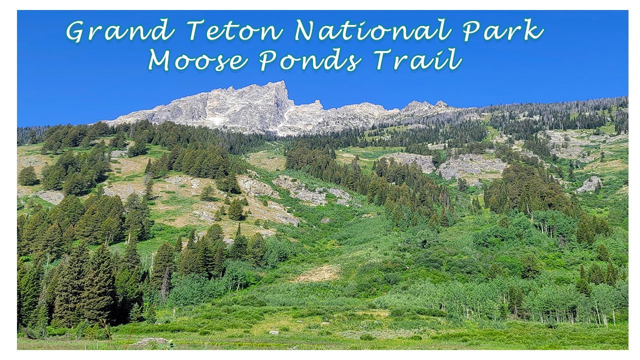 Grand Teton National Park // Moose Ponds Trail YouTube