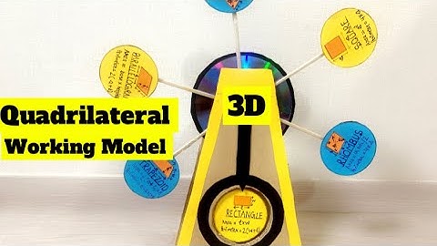 Types of Quadrilaterals II Working Model of Types of Quadrilaterals II #workingmodel #quadrilateral