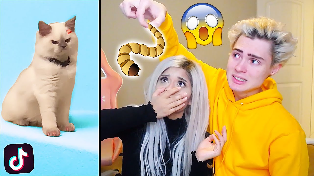 First One To Laugh Has To Eat Worm Snacks! | Tik Tok Try Not To Laugh Challenge