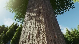 321 Go Rtx Meme Minecraft