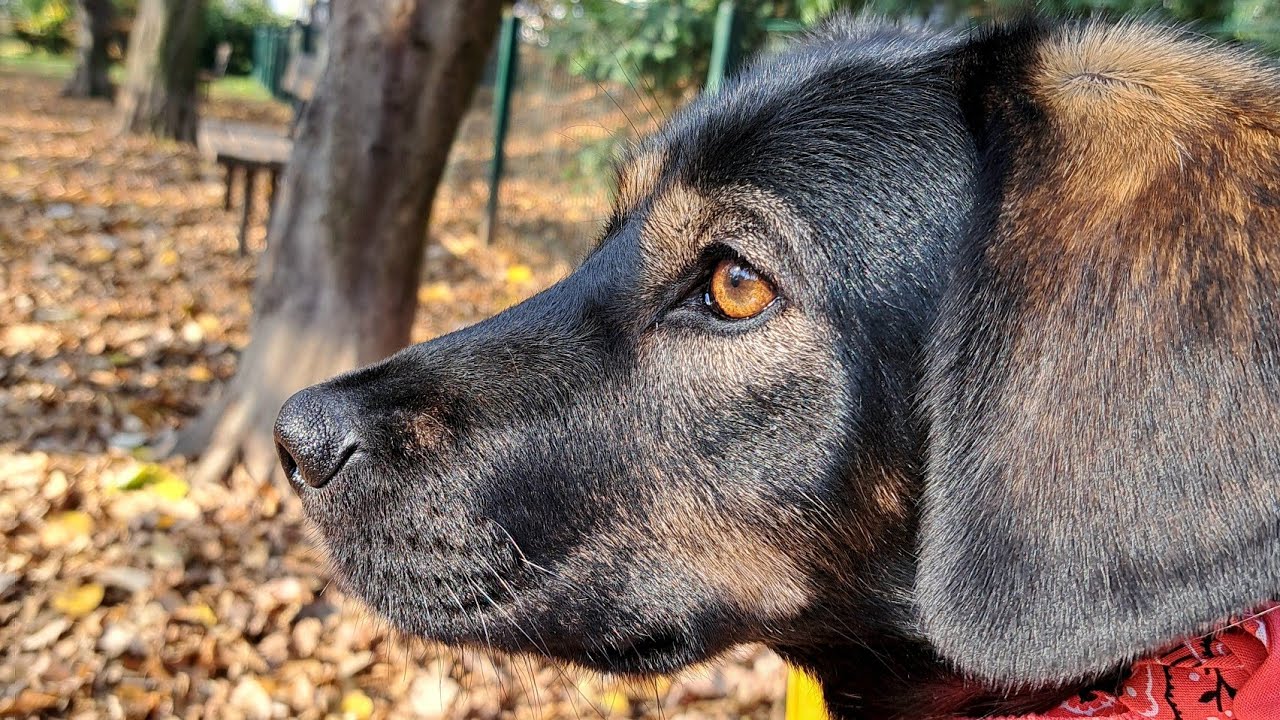 Dajte mi 45 minuta i zaboravit ćete na bivšu osobu. Ovo će biti okretanje novog lista.