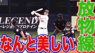 【錦帯橋のように美しい】T-岡田 確信特大アーチにベンチの反応自由過ぎ