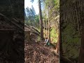 Felling upward on a steep place