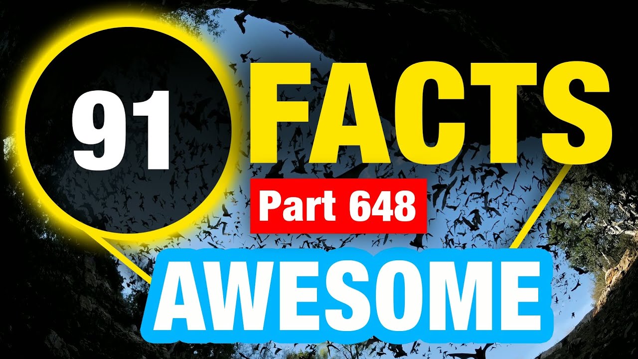 91 Facts That Will Shock You | Mind Blowing Random Facts