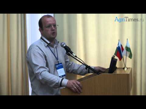 УЗИ в диагностике гинекологических заболеваний у коров