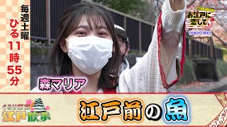 お江戸に恋して【江戸前の魚(2021/12/18 OA)】森マリアと堀口茉純が巡る！