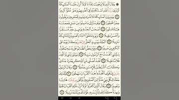 ياسر الدوسري سورة الفرقان مكتوبة صفحة 362 من الآية 25 إلي الآية 29 - و يوم يعض الظالم علي يديه