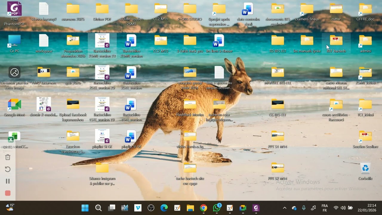 execices préactionneurs électriques   relais et contacteurs ( 1STE et 2SMB  et TCT )
