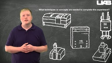 WLaS Introduction Section