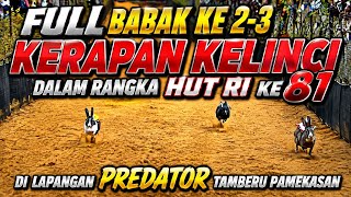 Full Rounds 2 & 3 Rabbit Racing for the 81st Indonesian Independence Day at PREDATOR Circuit, Tam...