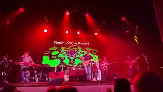Pattern-Seeking Animals - Future Perfect World
