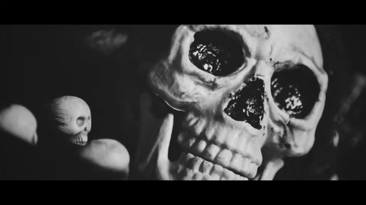 ELIMOD model management horror story