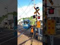 【鹿児号市電9509号】【なのはな号】【新川4号踏切】 #shorts #路面電車 #train