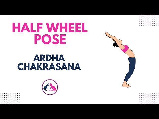 Variation Ardha Chakrasana Half Wheel Pose Stock Photo 102930734 |  Shutterstock