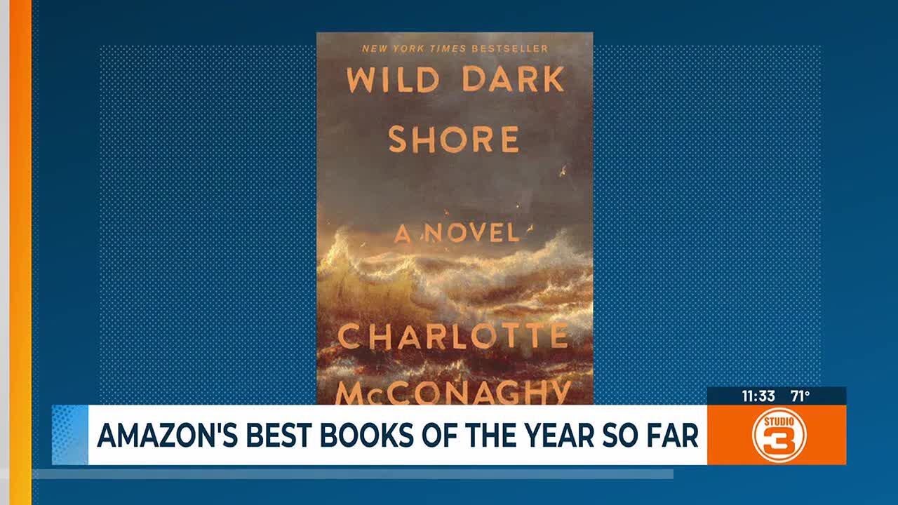 Amazon's Best Books of the Year So Far