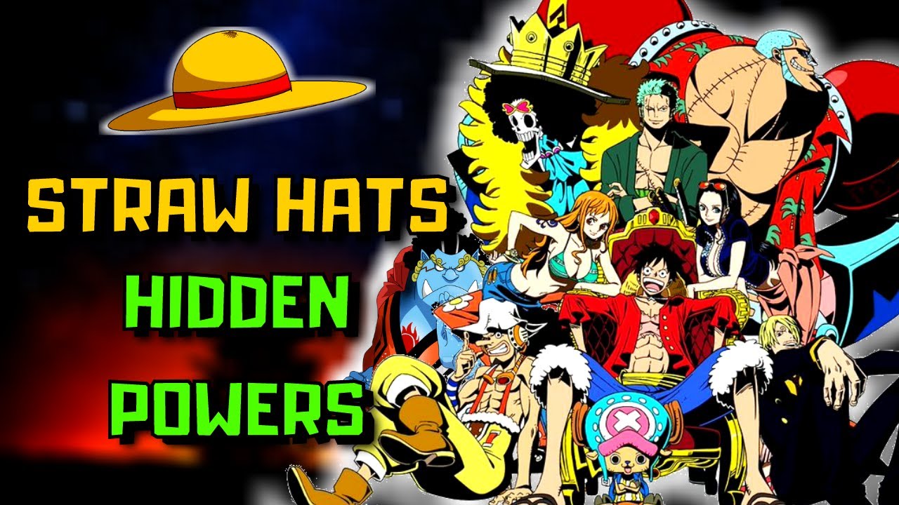 What The STRAW HATS REALLY LEARNED 