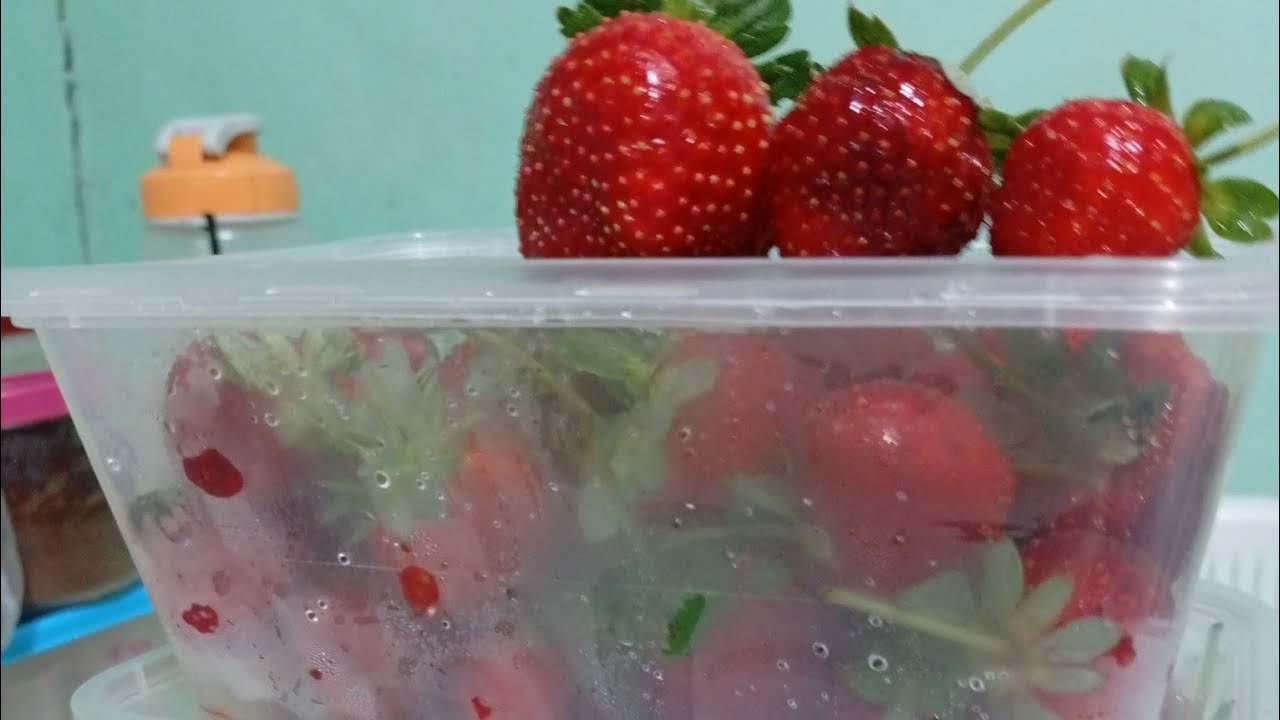 Sweet Charlie 🍓 How to grow sweeter and Quality in Low Land 🍓 why using Vermicast?