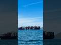 MSC Cargo Ship Sailing the Open Sea ⚓ #shorts #ship #sailing #short