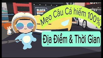 Play Together | Mẹo câu Cá hiếm 100% | Địa điểm và thời gian cấu cá hiếm | HổXinhgai