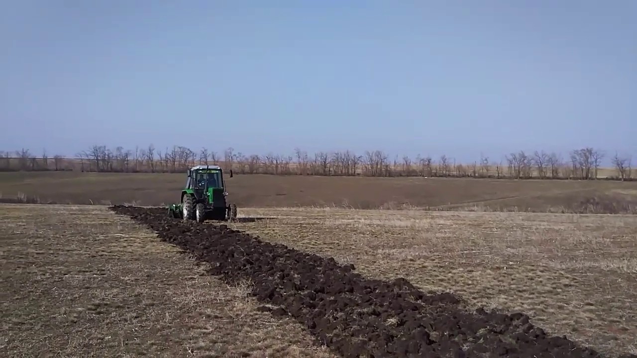 На какой передаче пахать. Борона дисковая для МТЗ 82. Трактор с бороной в поле. МТЗ С боронами в поле. Дисковая борона для МТЗ 82 видео.