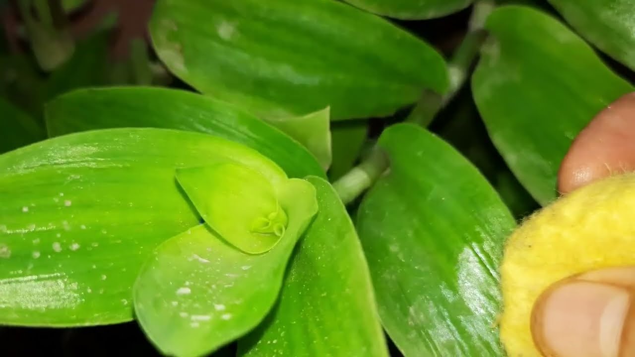 جولة نباتات مع أمي 🥰